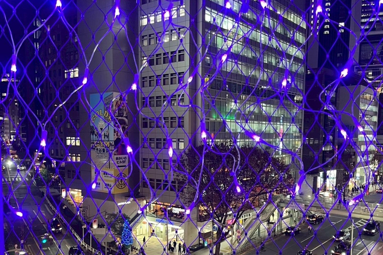 Tokyo Night Walk: Shibuya & Shinjuku Hidden Alleys Private Tour