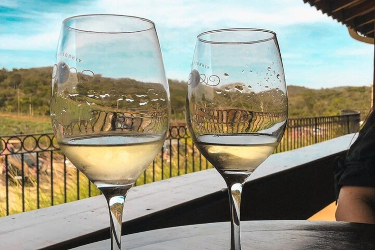 Sao Roque: Private Wine Tour with Breakfast and Lunch