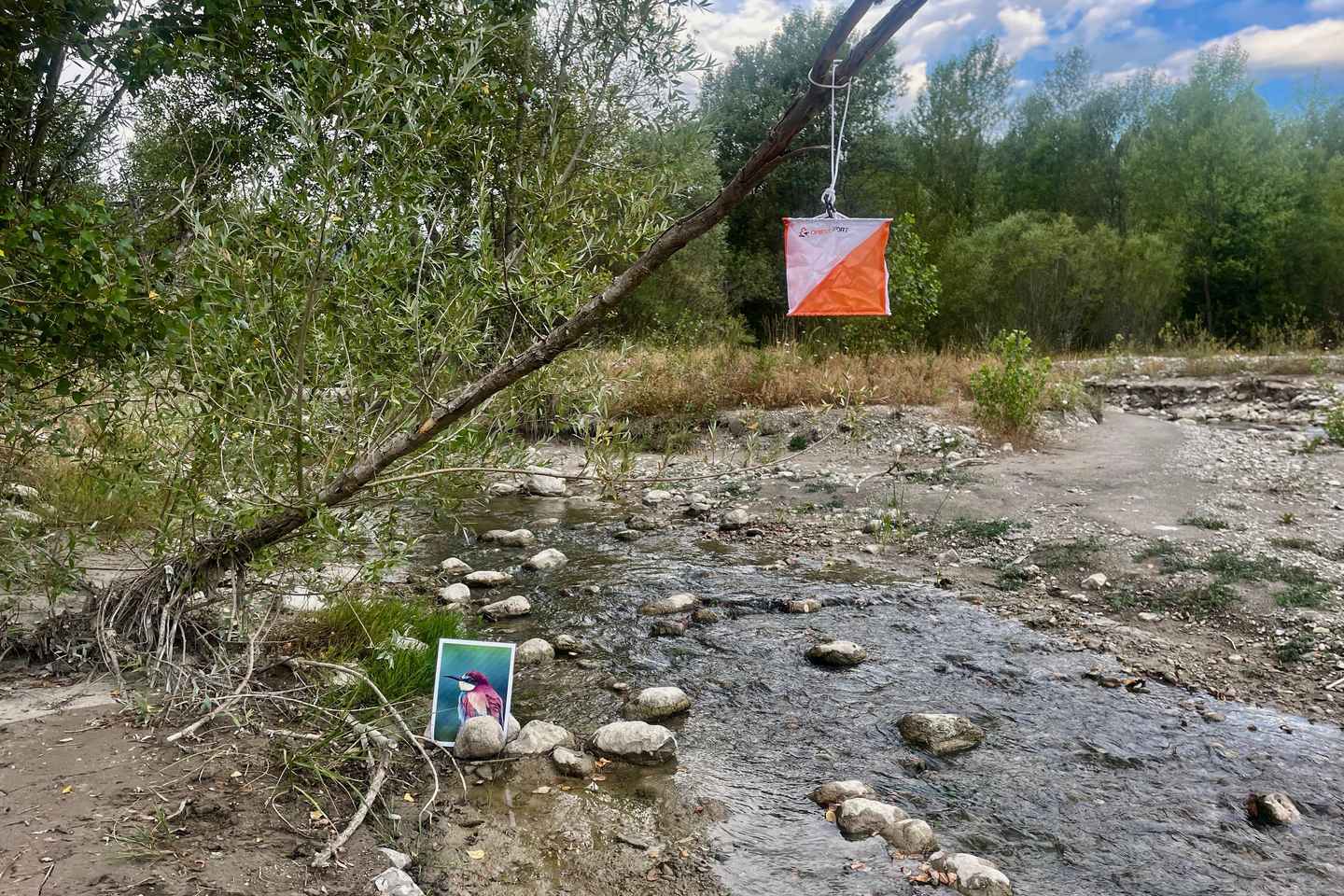 Detective Club: a nature investigation game for the whole family!