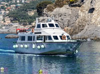 Genova , Boat Tour to Camogli, San Fruttuoso, & Portofino - Housity