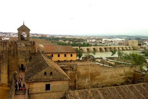 Córdoba hoogtepunten dagtour vanuit Granada
