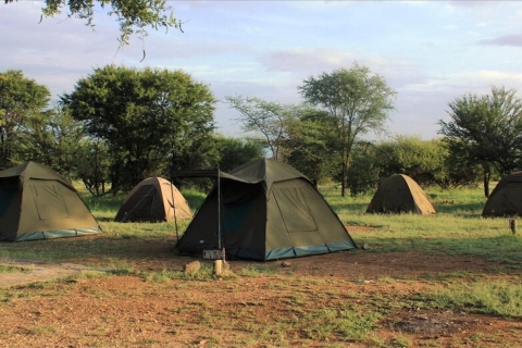 Arusha: 3-Day Safari to Tarangire, Lake Manyara & Ngorongoro Arusha: 3-Day Safari to Tarangire, Lake Manyara, and …