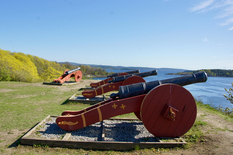 Oslo: Fjord, Birds and Footprints from the Past Cruise