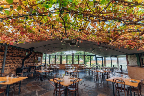 Adelaide: McLaren Vale Private WineTour + degustações de sua escolha