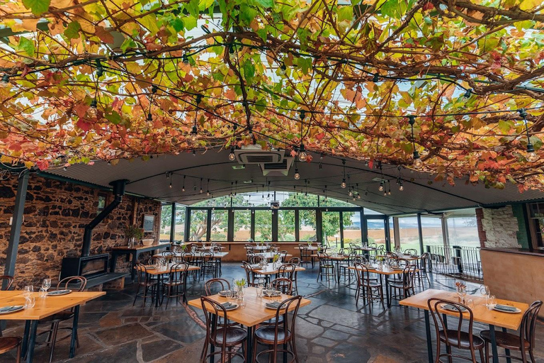 Adelaide: McLaren Vale Private WineTour+Your Chosen Tastings