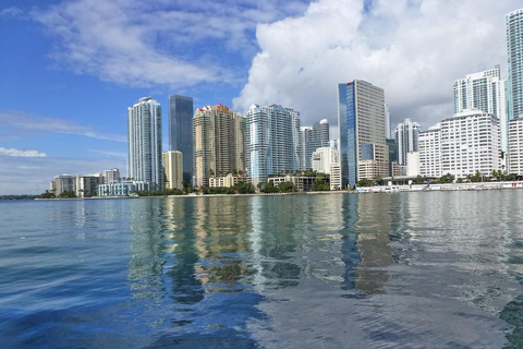 Miami Sightseeing Cruise & City Tour plus water Shuttle South Beach Start at 11:30am