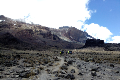 7 giorni di arrampicata di lusso sulla via lemosho del kilimanjaro