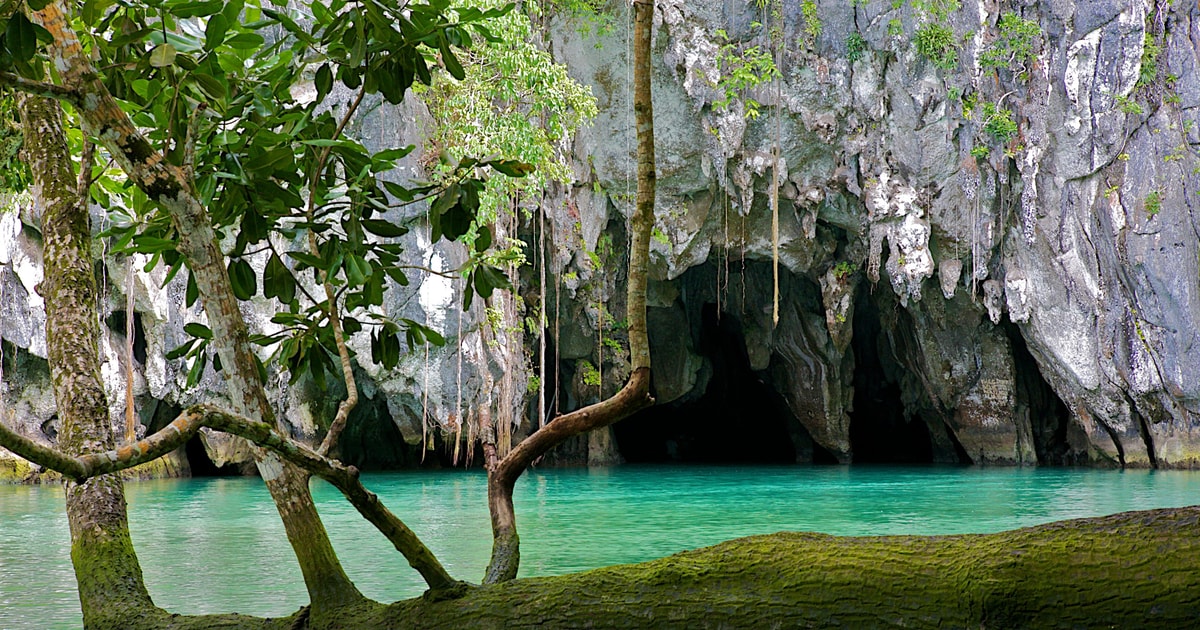 Tour Del Fiume Sotterraneo Di Puerto Princesa Tour Condiviso