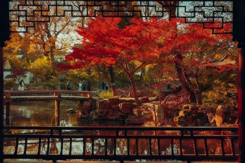Shanghai: Hangzhou, Suzhou, and Water Towns Tour in 3 Days
