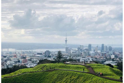 Auckland: tour privato della spiaggia di Piha, della foresta pluviale e del Monte EdenAuckland: tour privato alla spiaggia di Piha, alla foresta pluviale e al Monte Eden