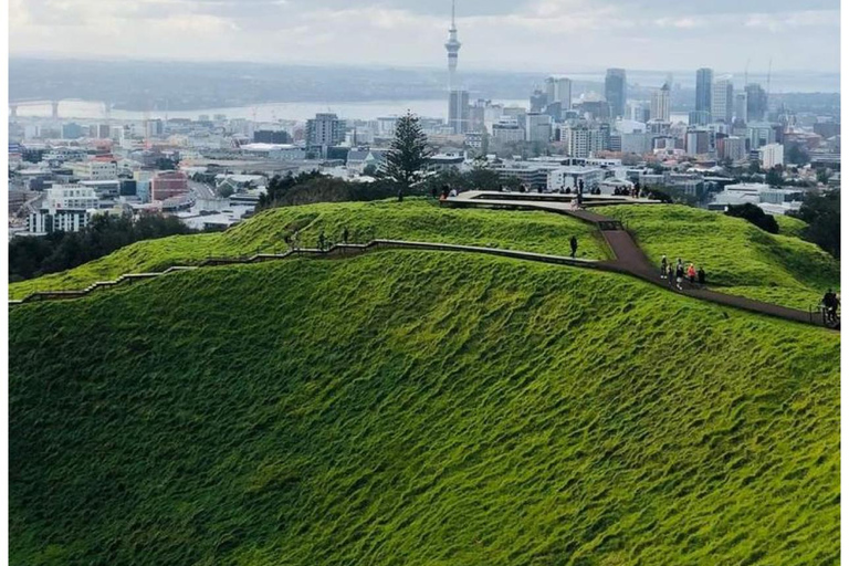 Auckland: tour privato della spiaggia di Piha, della foresta pluviale e del Monte EdenAuckland: tour privato alla spiaggia di Piha, alla foresta pluviale e al Monte Eden