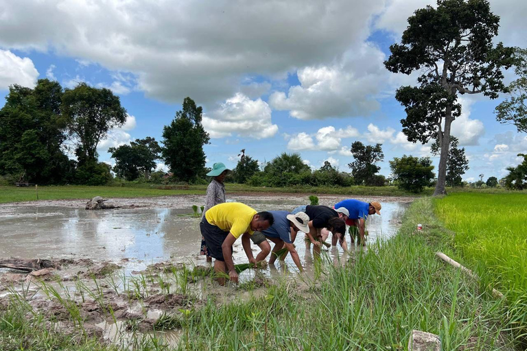 Phnom Penh: Hidden Gems Walking Tour with Local Guide