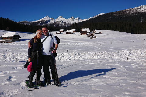 From Ljubljana/Bled: Beginner Snowshoe in Julian Alps From Bled - pickup at your accommodation