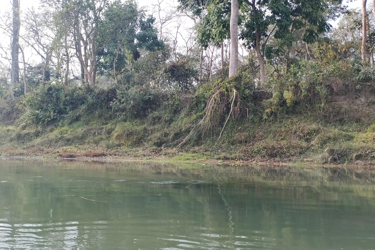 From Kathmandu: 4-Day Chitwan National Park Tour