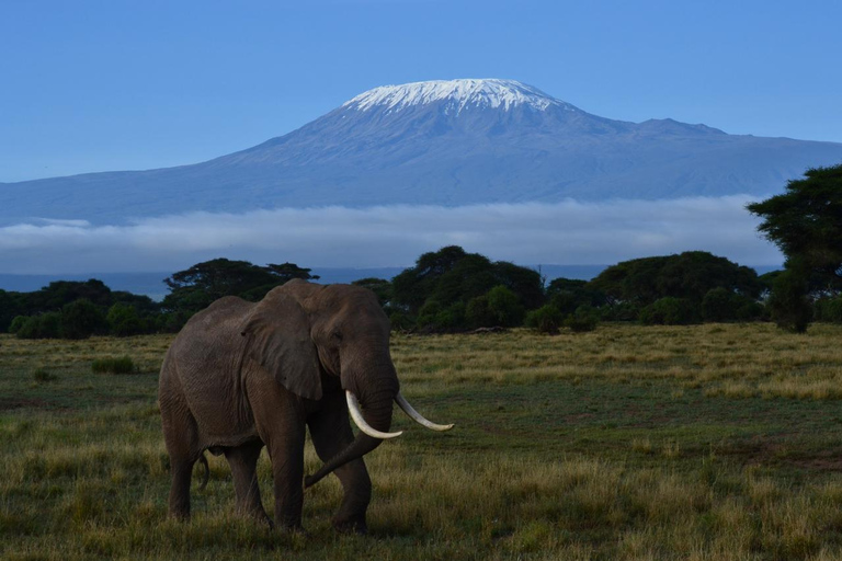 Pernoita no Safari em grupo no Parque Nacional Amboseli