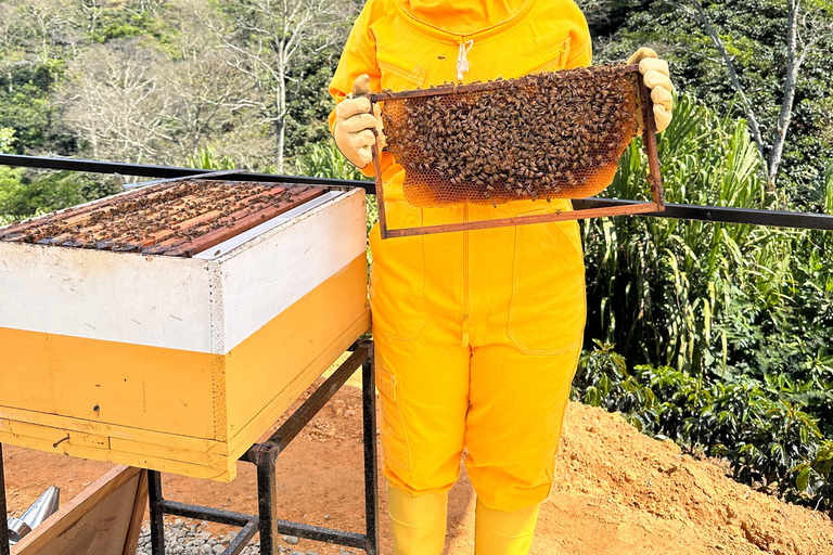 Medellín: 2-Day Jardín and Tapartó Tour with Accommodation