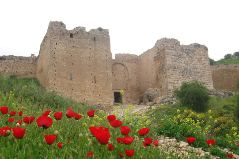 Ancient Corinth Saint Paul step & thermal spa tour