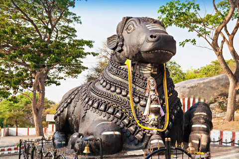 Day Trip to Mysore (Guided Sightseeing tour from Bangalore)