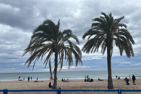 Alicante: Bike and Walking Tour with Guide