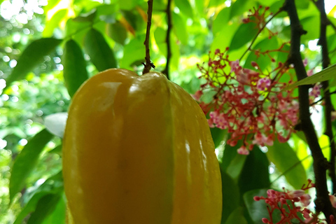 Zanzibar: Spice Farm Tour with Stone Town Food Market Visit