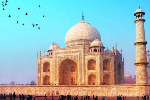 Delhi: Agra Tajmahal tour met privéauto