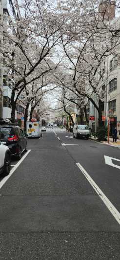 Privat Tokyo-tur med engelsktalende sjåfør