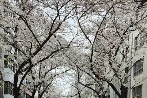 東京プライベートツアー