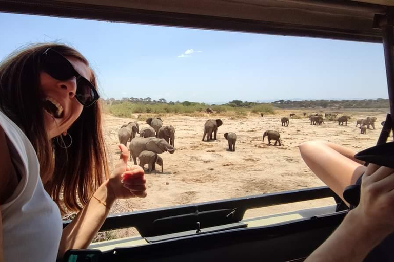 Arusha: 5-tägige Tansania Safari mit Masai Boma Besuch