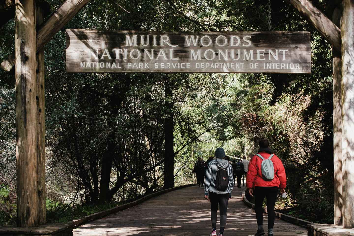 San Francisco: Muir Woods, Pacific Coast & Sausalito Tour - San Francisco: Muir Woods, Pacific Coast & Sausalito Tour