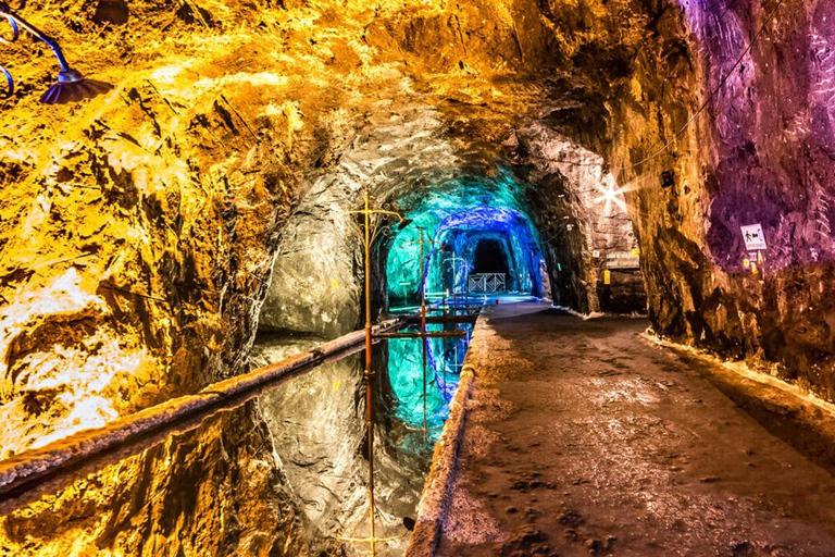 From Bogotá: Checua Desert and Nemocón Salt Mine - Private Tour