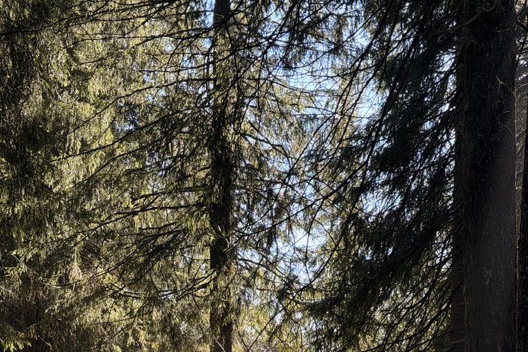 Oslo’s Most Beautiful Fjord Views - light hike version