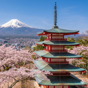 From Tokyo: Mount Fuji Full-Day Sightseeing Trip