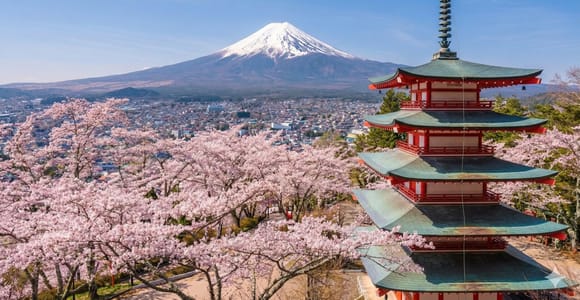 Depuis Tokyo : mont Fuji, lac Kawaguchi et outlets de Gotemba