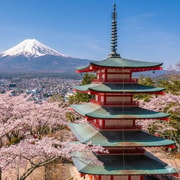 From Tokyo: Mount Fuji Full-Day Highlights Sightseeing Trip