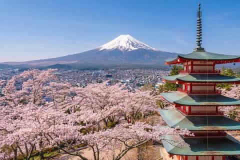 The best Mount Fuji Spring activities 2026 - Free cancellation