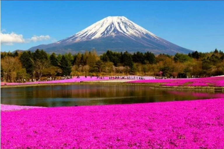 Mt Fuji Sightseeing Private tour with English Speaking Guide