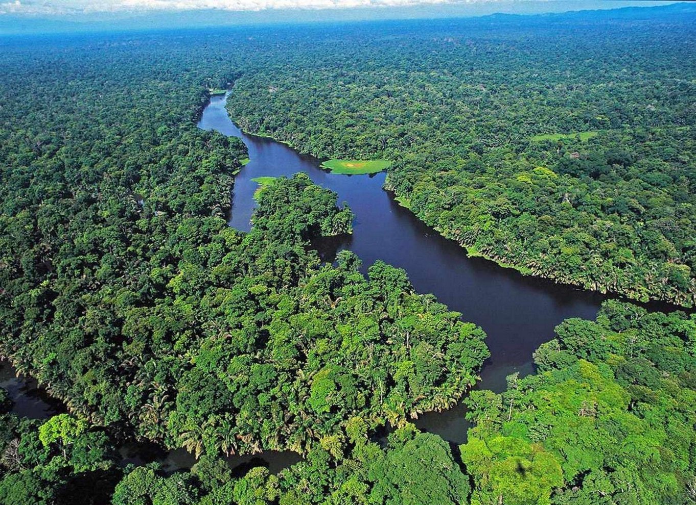 Tortuguero: Tur i Tortuguero-bjerget (sovende vulkan)