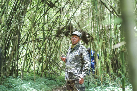 Kigali: 7-Day Safari, Wildlife Immersion, Big 5 to Gorillas