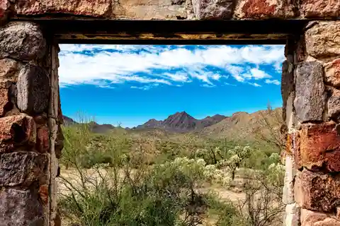 From Tucson: Sonoran Desert with Desert Museum Ticket