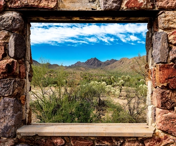 From Tucson: Sonoran Desert with Desert Museum Ticket
