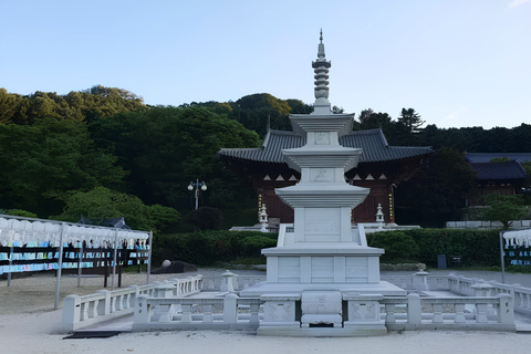 From Seoul: Buddhist Temple Experience & Nami Island Tour Group tour from Hotel the Designers Dongdaemun