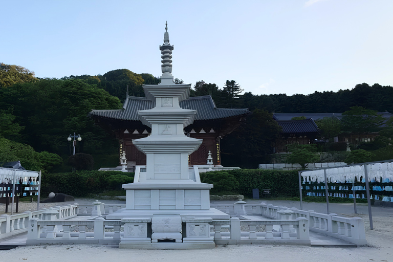 From Seoul: Buddhist Temple Experience & Nami Island Tour Group tour from Hotel the Designers Dongdaemun