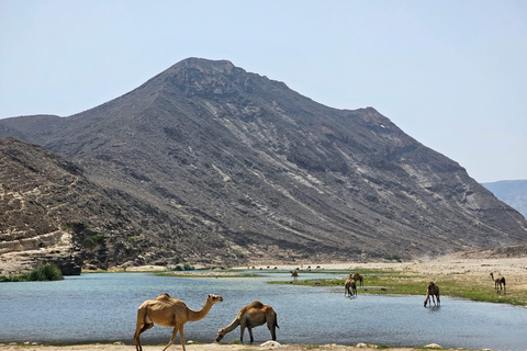 Discover West Salalah: Full-Day Tour by Safari Salalah Tours