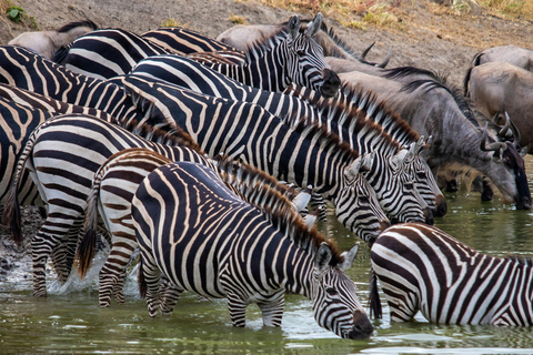 Zanzibar: 3-Day Honeymooners Luxury Fly-In Safari