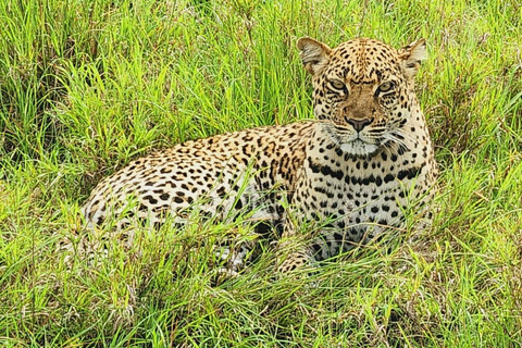 Kidepo Valley National Park 5-Day Safari Tour
