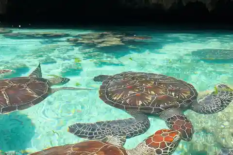 NADAR CON TORTUGAS EN LA CUEVA DE SALAAM EN KIZIMKAZI ZANZIBAR