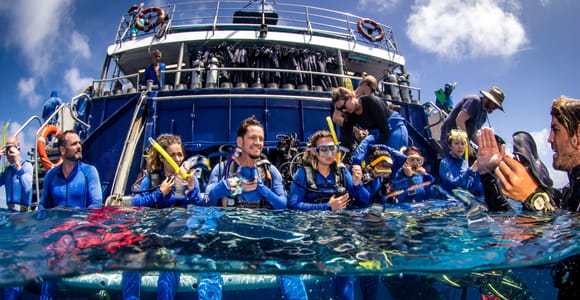 Cairns: Best Value All-inclusive Reef Trip With Scuba Dive