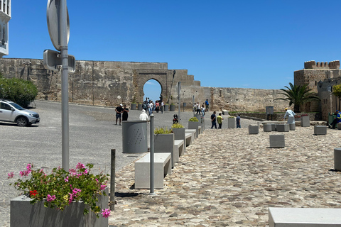 Excursión de un día desde la zona de Málaga a Tánger Marruecos Todo incluidoCruce del Estrecho de Gibraltar de Málaga a Tánger en un día