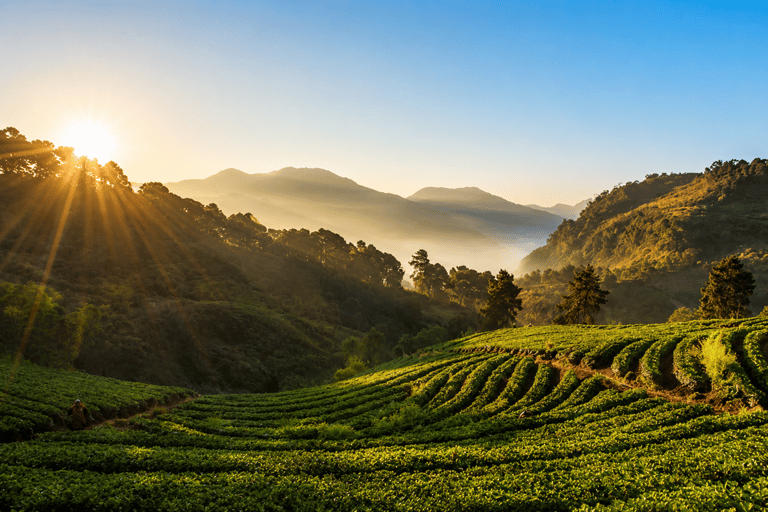 Chiang Mai: Doi Inthanon National Park Waterfalls & Pagodas