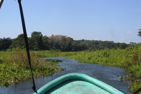 Panama: Monkey Island Gatun Lake Boat ride